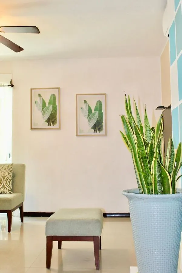 Centrally Located Apartment In Pdc México